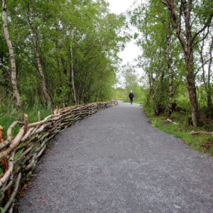Austrått area, mansion paths, a broad path surrounded by trees, a braided fence to the left, a man in the background