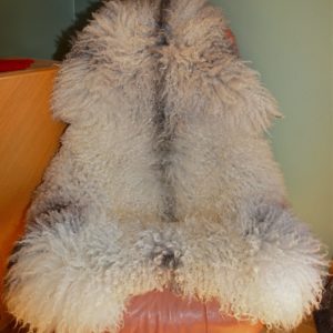 Austrått agrotourism, sheep pelt, Norsk Pelssau, a big light grey longwool pelt in a chair.