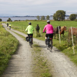Austrått, four people biking away from the camera, the sea in the background