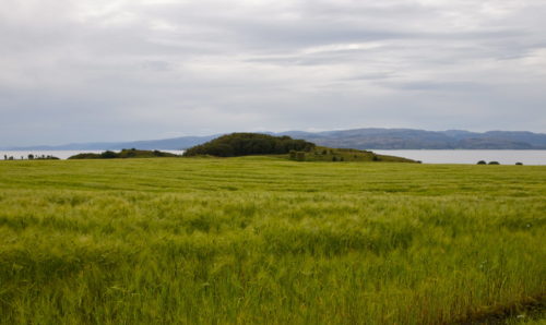 Austrått, Skjegge mound, the Skjegge grave mound, a green grain field in the foreground, the sea in the background